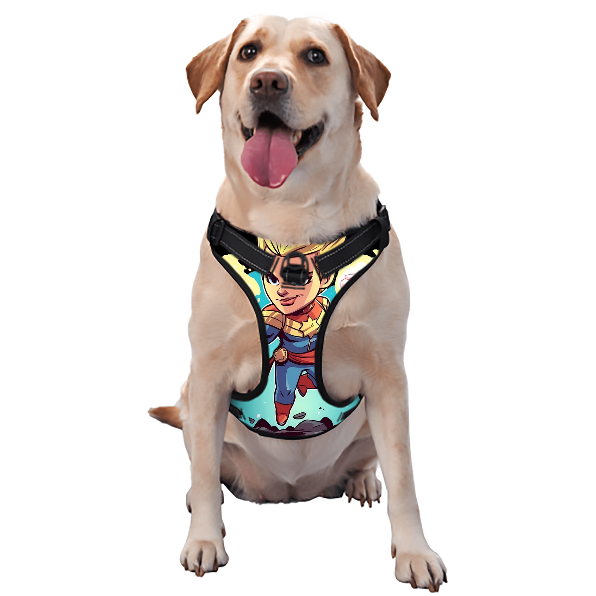 （画像用） アベンジャーズ The Avengers ペット用ハーネス